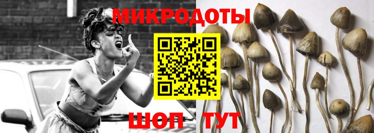 Галлюциногенные грибы MAGIC MUSHROOMS  Вход с VPN  Тихорецк 